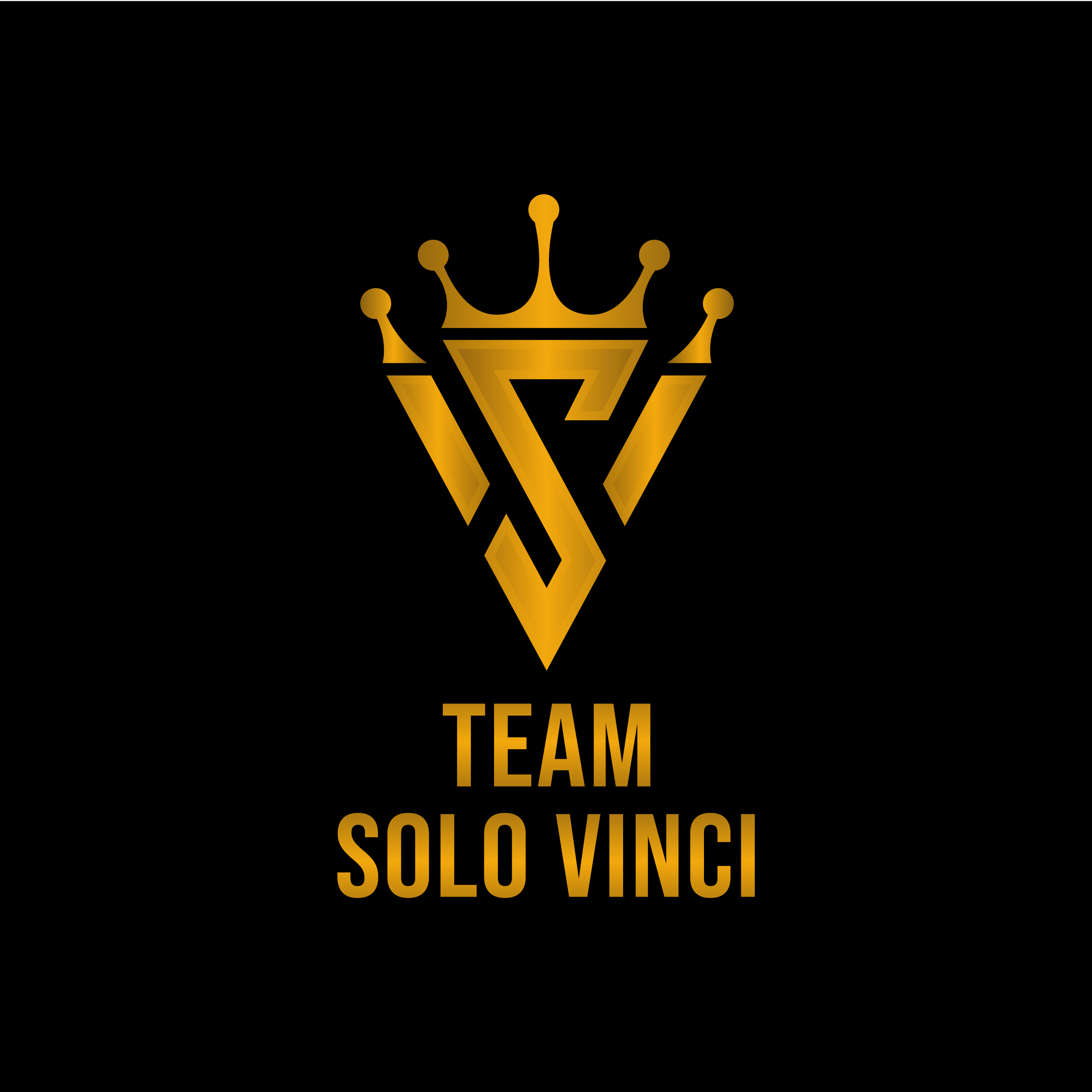 Club Image for SOLO VINCI