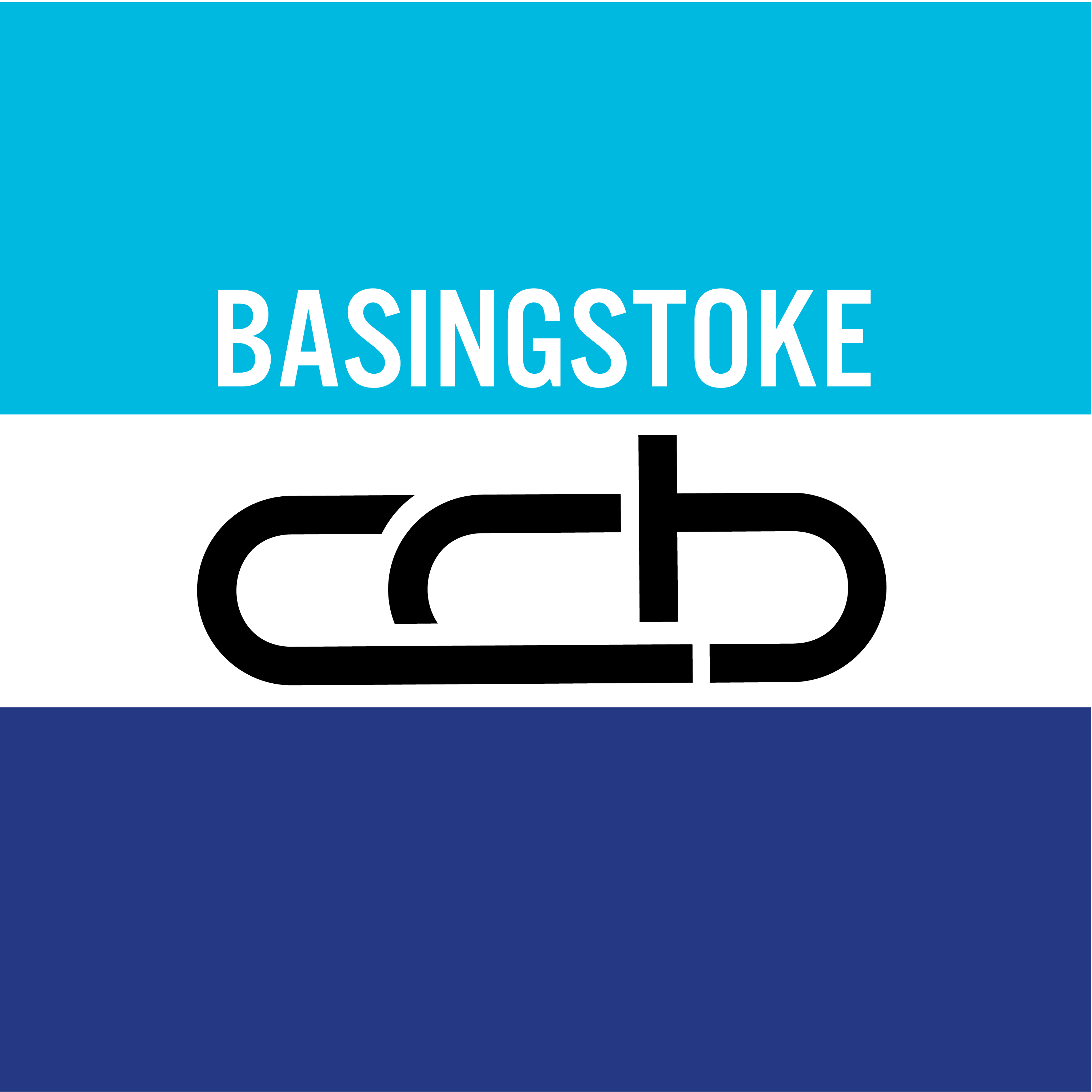 Club Image for CC BASINGSTOKE