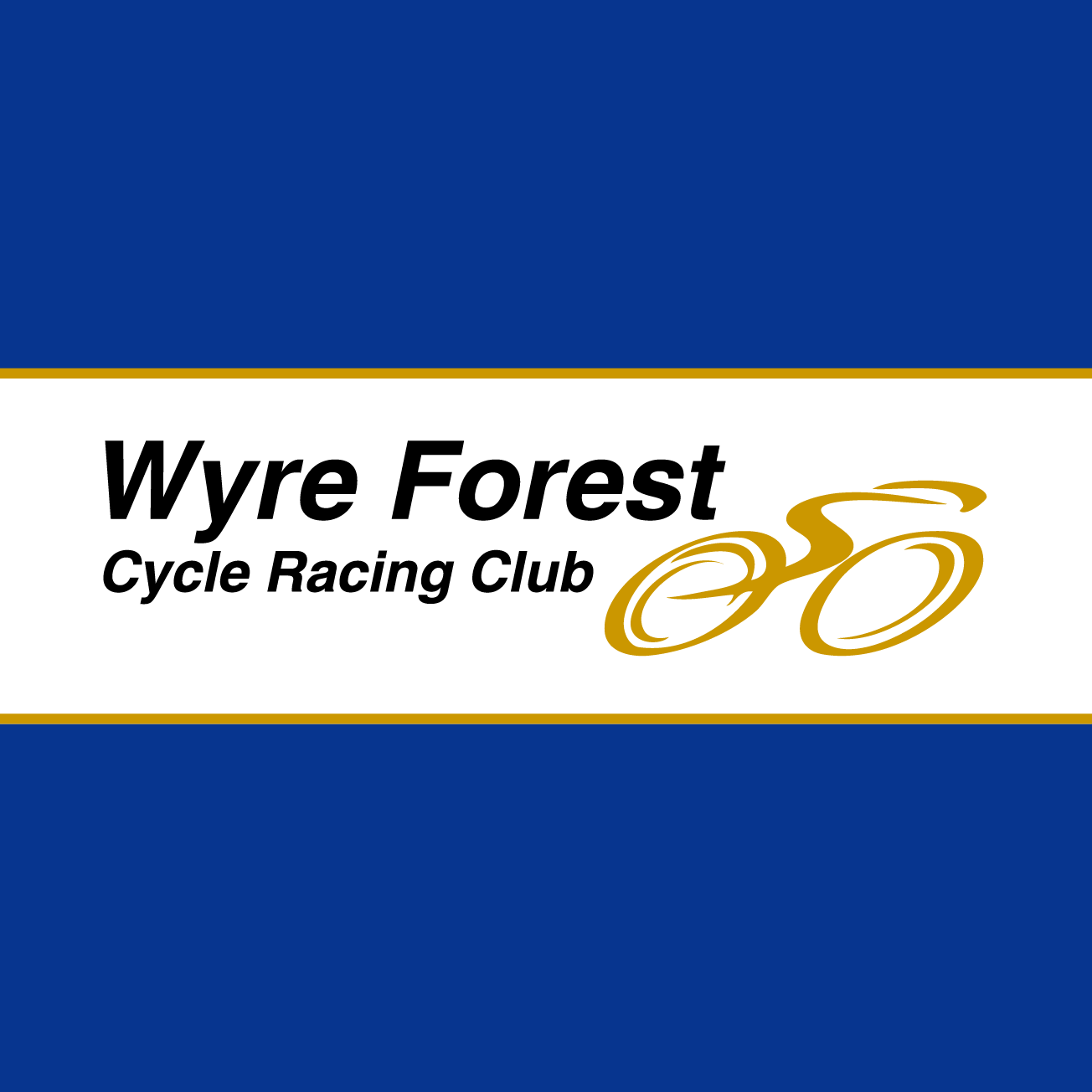 Club Image for WYRE FOREST RC