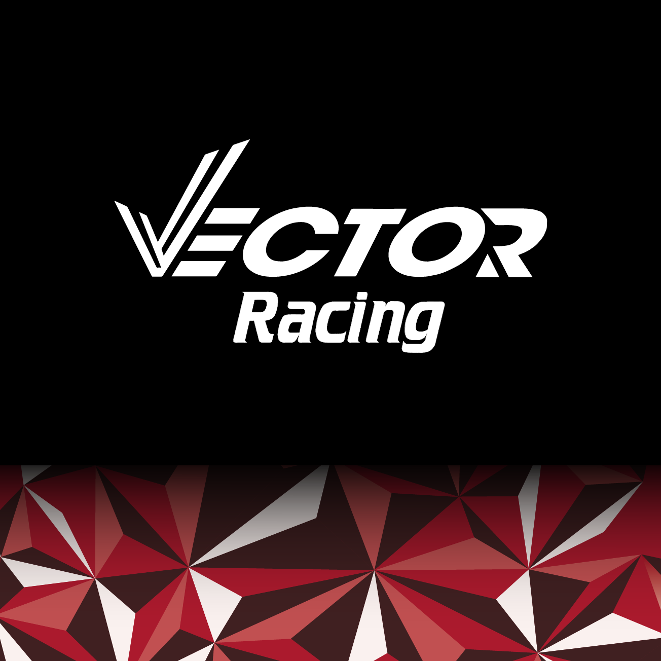 Club Image for VECTOR RACING
