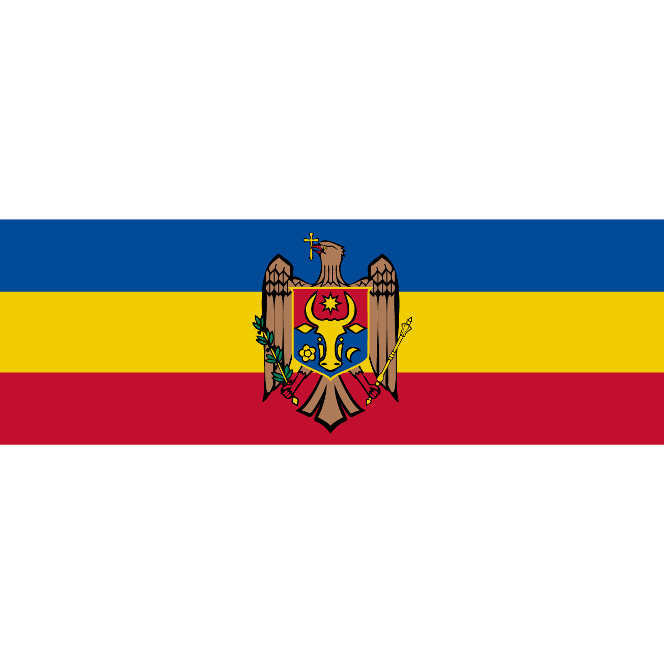 Club Image for National Moldavian